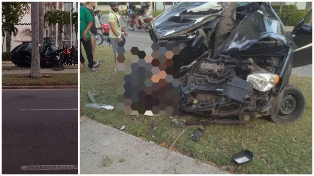 Coche negro chocado contra árbol en calle concurrida.