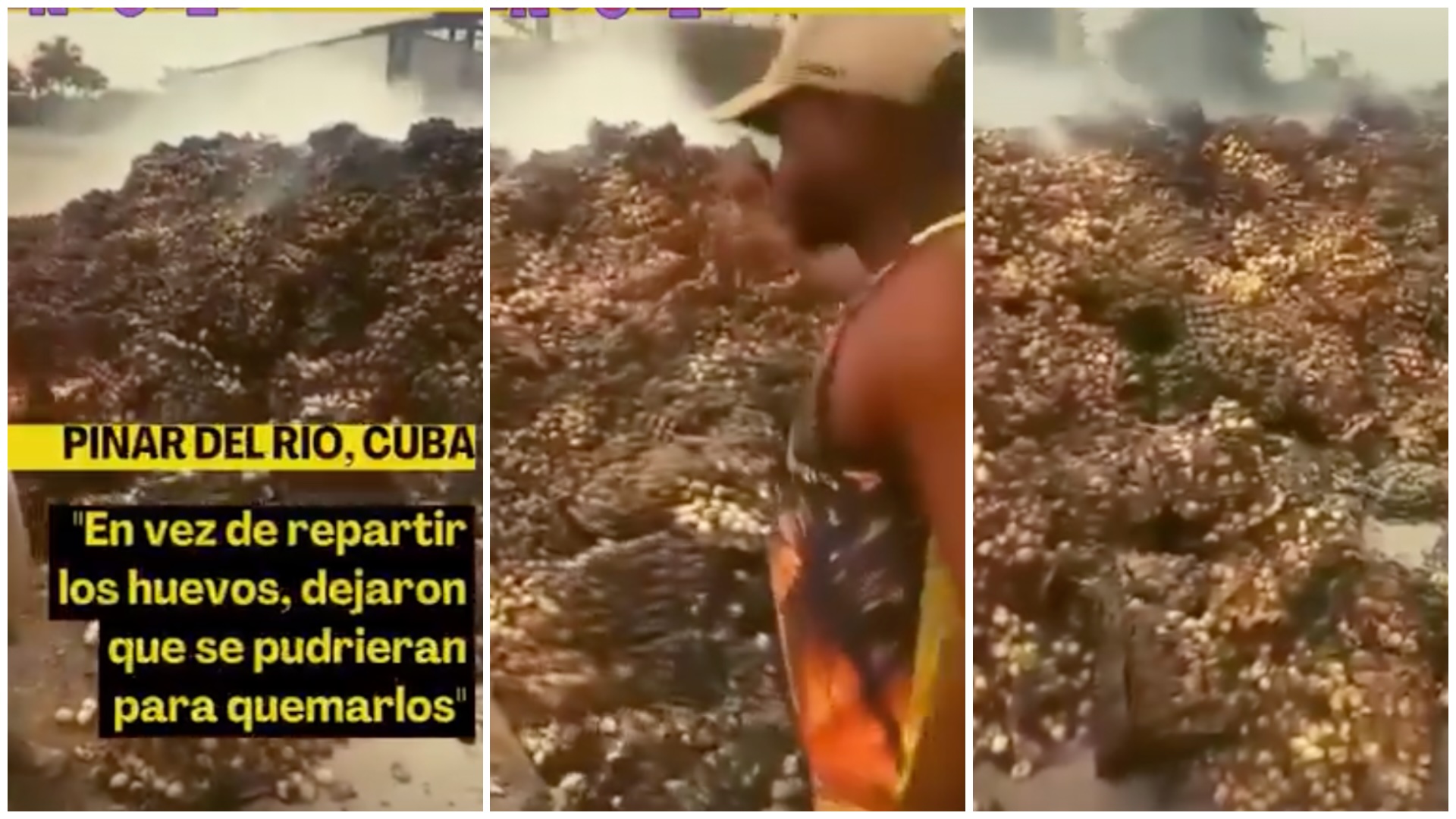 Montón de huevos podridos en Pinar del Río, Cuba.