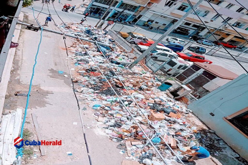 Calle con mucha basura y coches estacionados
