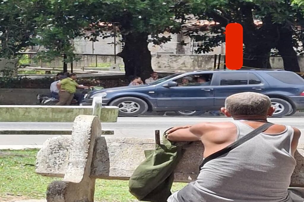 Persona observando tráfico desde un banco de plaza.