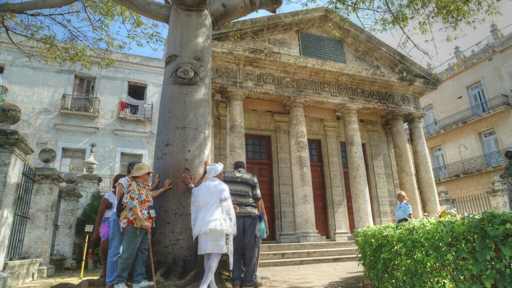 Personas rodean árbol frente a edificio colonial