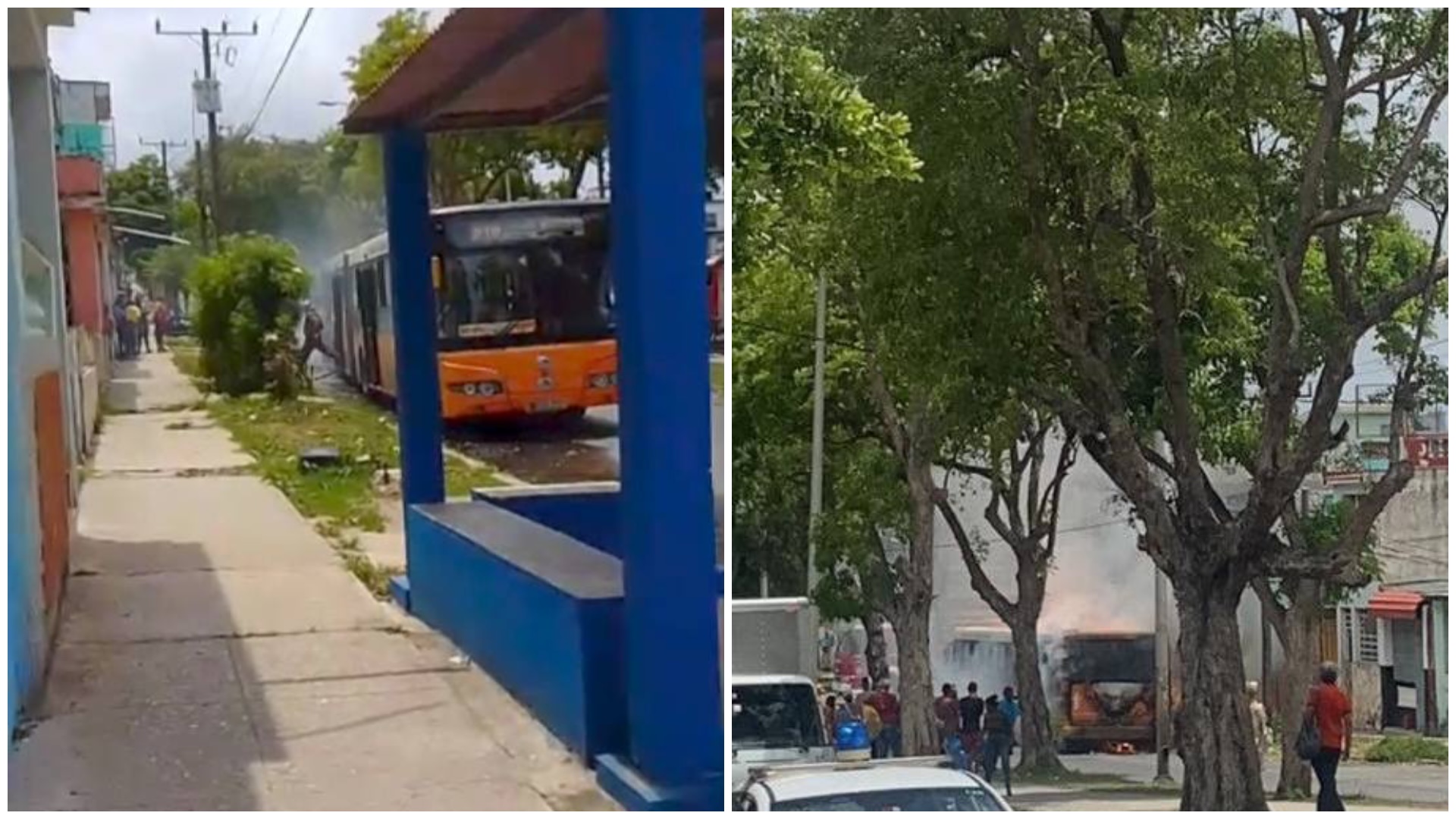 Autobús en llamas en la calle arbolada