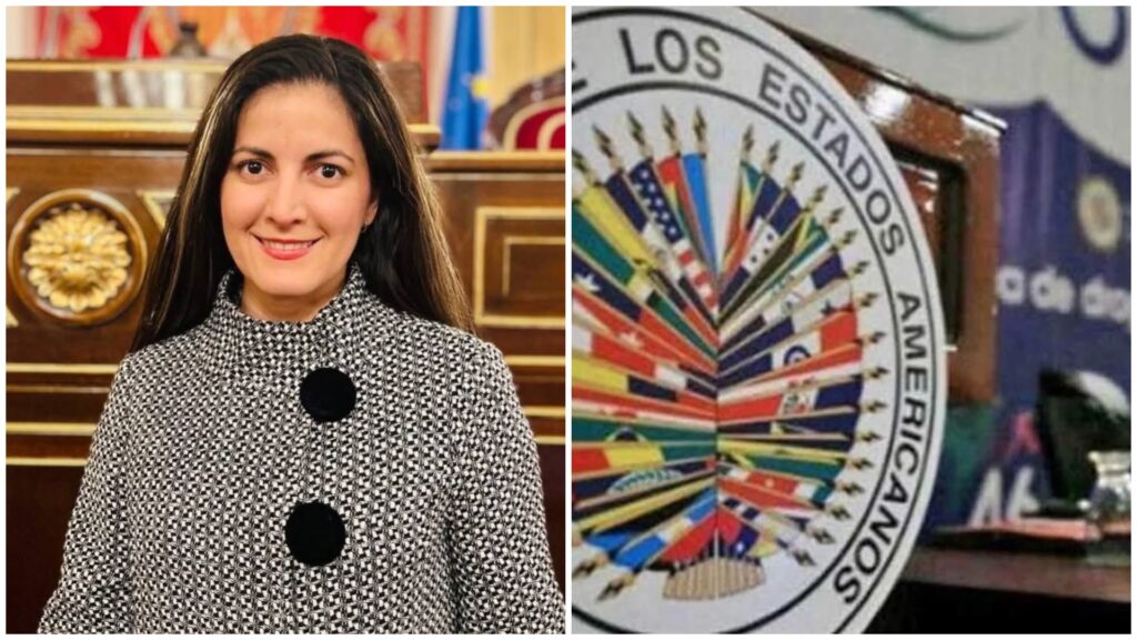 Mujer sonriente junto a logotipo Organización de Estados Americanos.