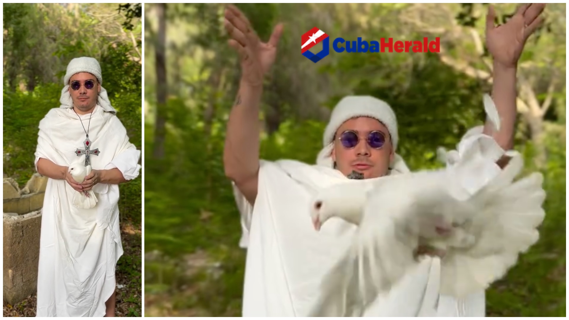 Persona en traje blanco con paloma en el bosque