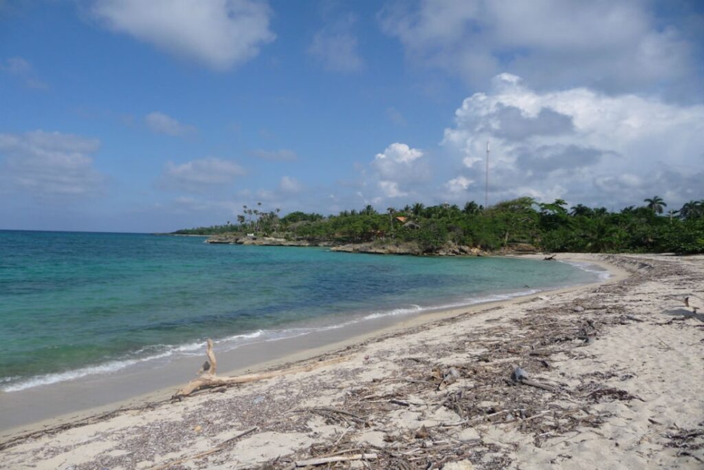 Playa de arena con vegetación tropical y mar azul.