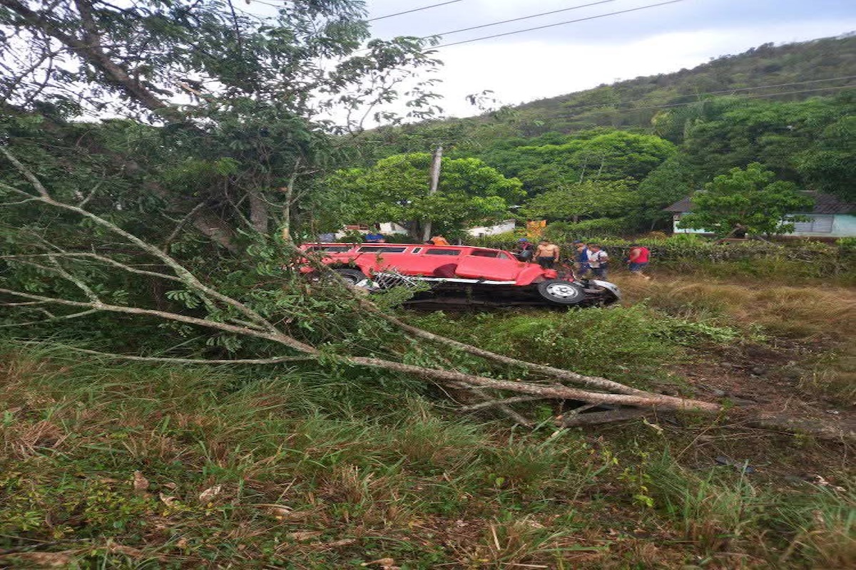 Coche rojo accidentado junto a árbol caído en campo.