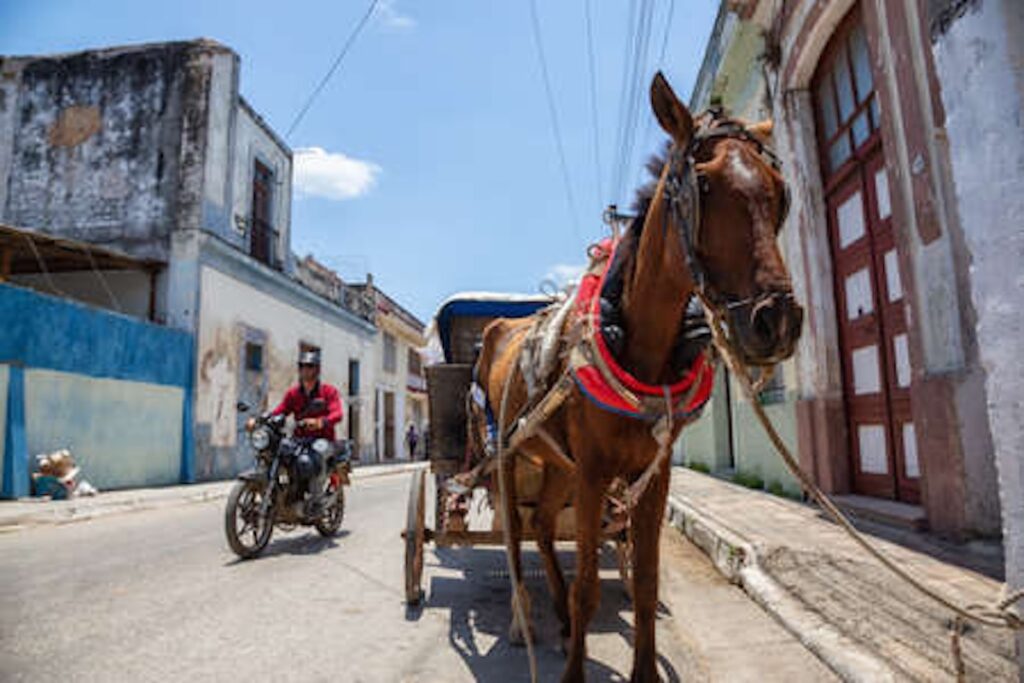 Caballo con carruaje y moto en calle urbana