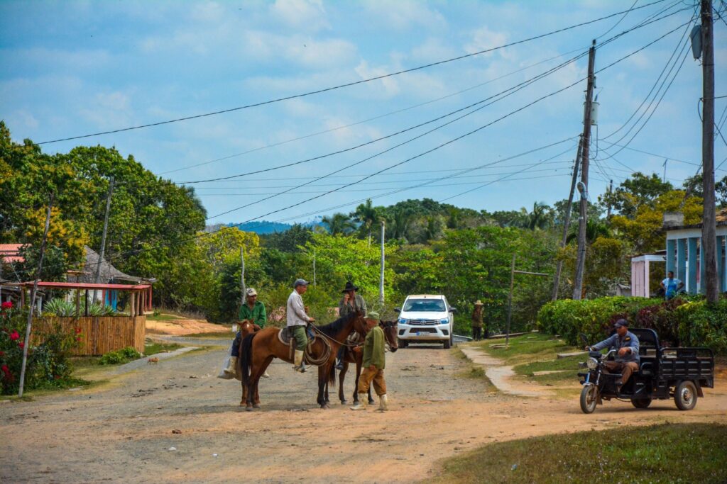 Hombres a caballo en camino rural con vegetación
