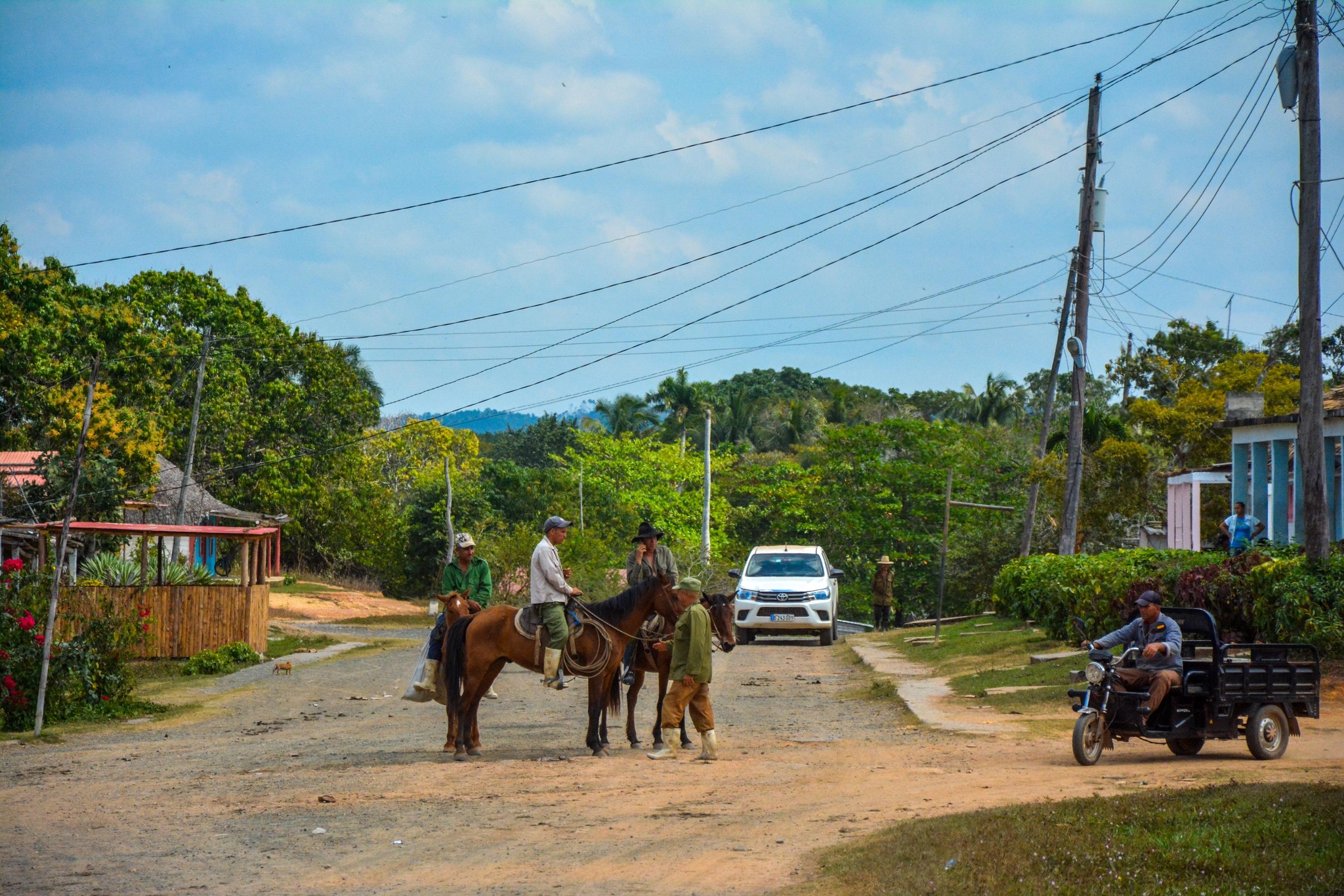 Hombres a caballo en camino rural con vegetación