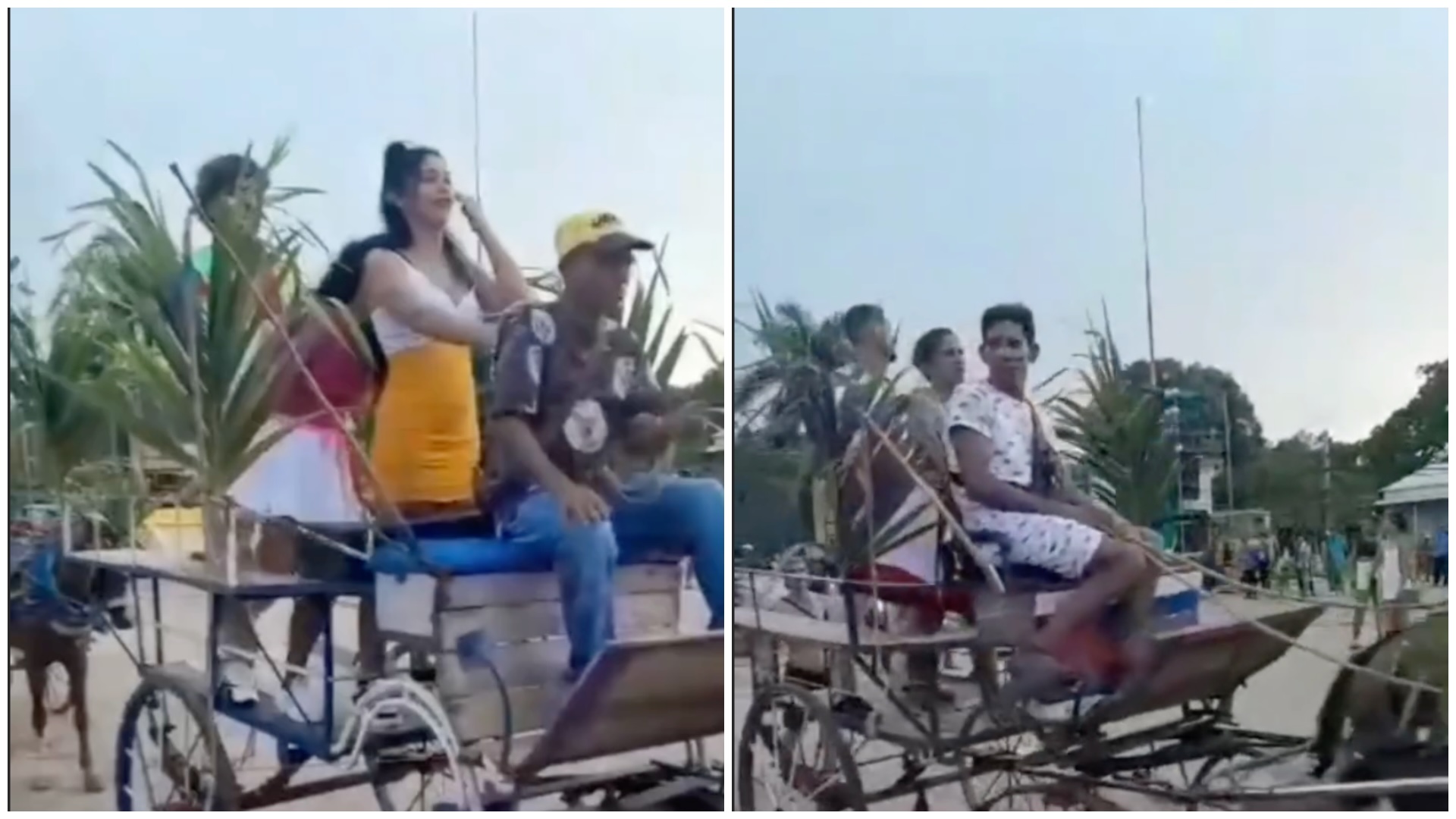 Personas en carro de caballos en la calle