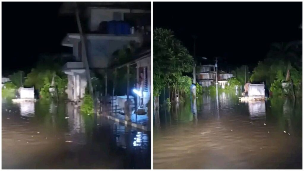 Calle inundada de noche con edificios y árboles.