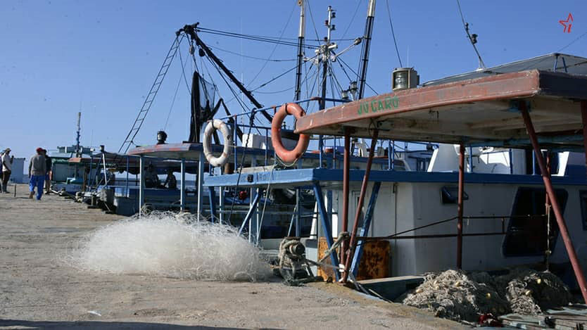Barcos pesqueros atracados en un muelle.