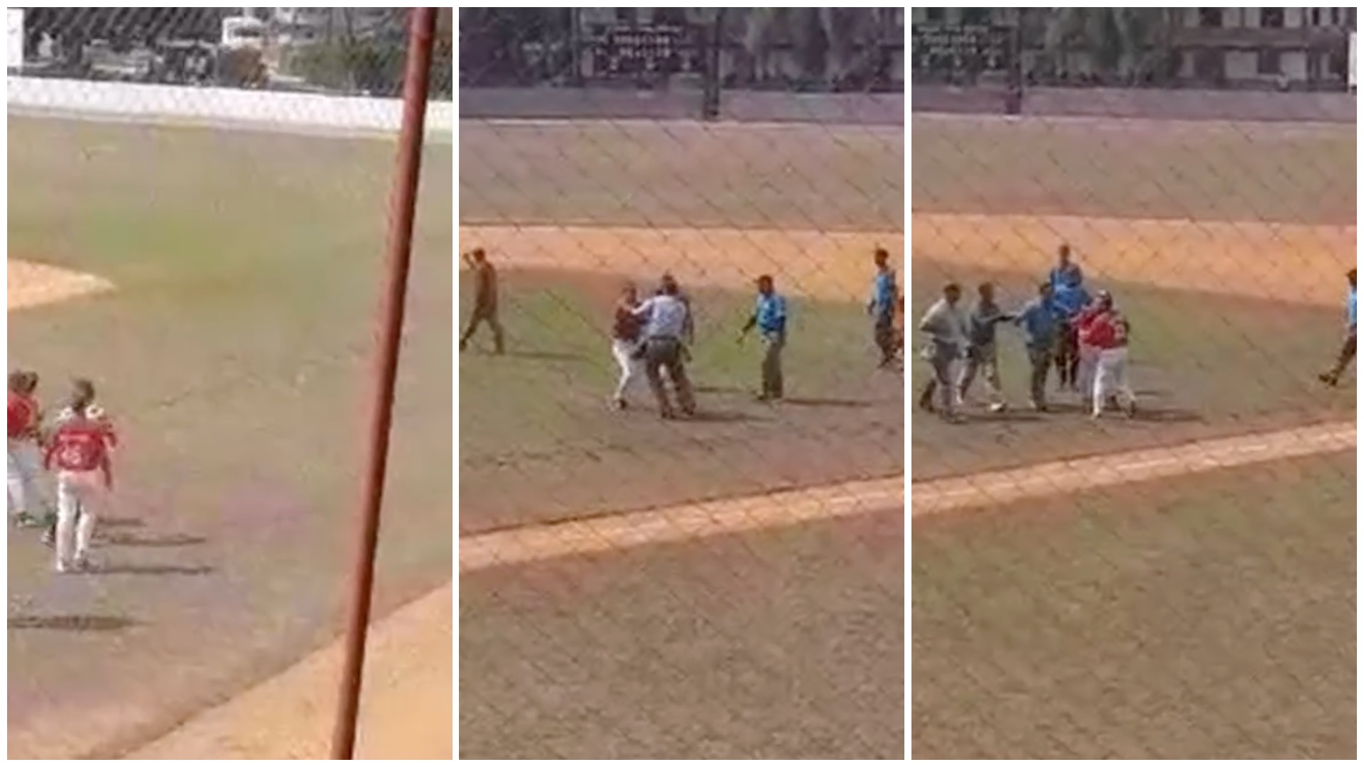 Incidente en partido de béisbol con jugadores y árbitros.