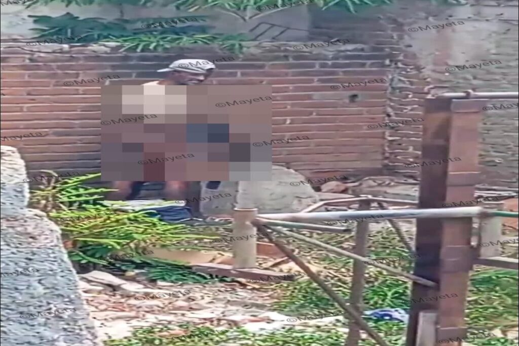 Persona cerca de pared de ladrillos y vegetación