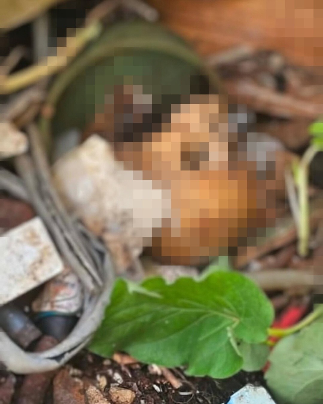 noticias,cuba,eeuu,españa,noticias de cuba hoy,noticias de cuba en miami hoy,noticias de cuba hoy actualizadas,noticias de estados unidos,noticias de estados unidos hoy,noticias de estados unidos sobre venezuela,noticias de estados unidos en vivo,noticias de mundo,ultima hora,periodico cubano noticias de cuba,noticias de cuba,noticias de cuba hoy prensa independiente,noticias de cuba hoy actualizadas,noticias de cuba en miami,noticias de cuba y mexico,noticias de cuba de ultima hora,cubanos por el mundo,cubanos por el mundo últimas noticias,cubanos por el mundo otaola,cubanos por el mundo - live,cubanos por el mundo instagram,cubanos por el mundo facebook,cubanos por el mundo - youtube