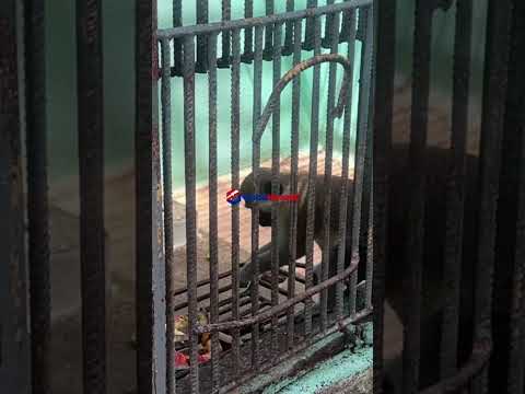 noticias,cuba,eeuu,españa,noticias de cuba hoy,noticias de cuba en miami hoy,noticias de cuba hoy actualizadas,noticias de estados unidos,noticias de estados unidos hoy,noticias de estados unidos sobre venezuela,noticias de estados unidos en vivo,noticias de mundo,ultima hora,periodico cubano noticias de cuba,noticias de cuba,noticias de cuba hoy prensa independiente,noticias de cuba hoy actualizadas,noticias de cuba en miami,noticias de cuba y mexico,noticias de cuba de ultima hora,cubanos por el mundo,cubanos por el mundo últimas noticias,cubanos por el mundo otaola,cubanos por el mundo - live,cubanos por el mundo instagram,cubanos por el mundo facebook,cubanos por el mundo - youtube