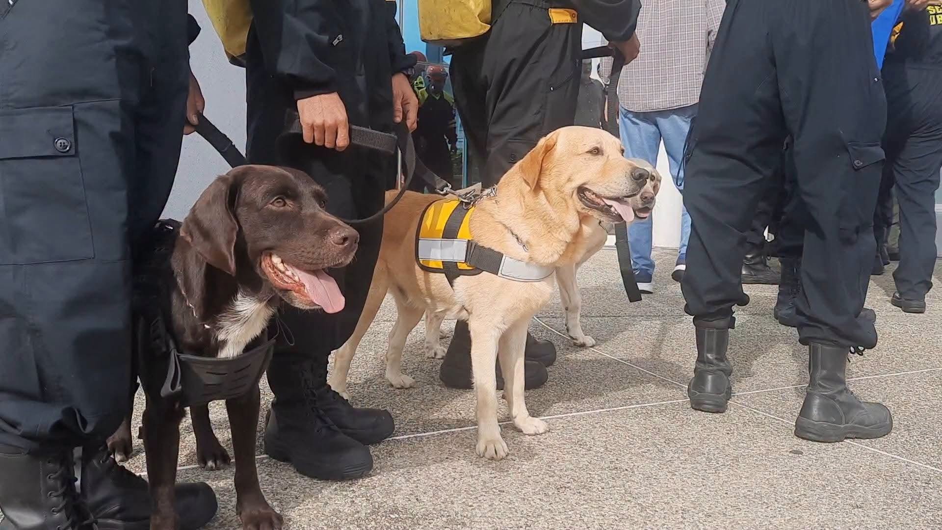 noticias,cuba,eeuu,españa,noticias de cuba hoy,noticias de cuba en miami hoy,noticias de cuba hoy actualizadas,noticias de estados unidos,noticias de estados unidos hoy,noticias de estados unidos sobre venezuela,noticias de estados unidos en vivo,noticias de mundo,ultima hora,periodico cubano noticias de cuba,noticias de cuba,noticias de cuba hoy prensa independiente,noticias de cuba hoy actualizadas,noticias de cuba en miami,noticias de cuba y mexico,noticias de cuba de ultima hora,cubanos por el mundo,cubanos por el mundo últimas noticias,cubanos por el mundo otaola,cubanos por el mundo - live,cubanos por el mundo instagram,cubanos por el mundo facebook,cubanos por el mundo - youtube