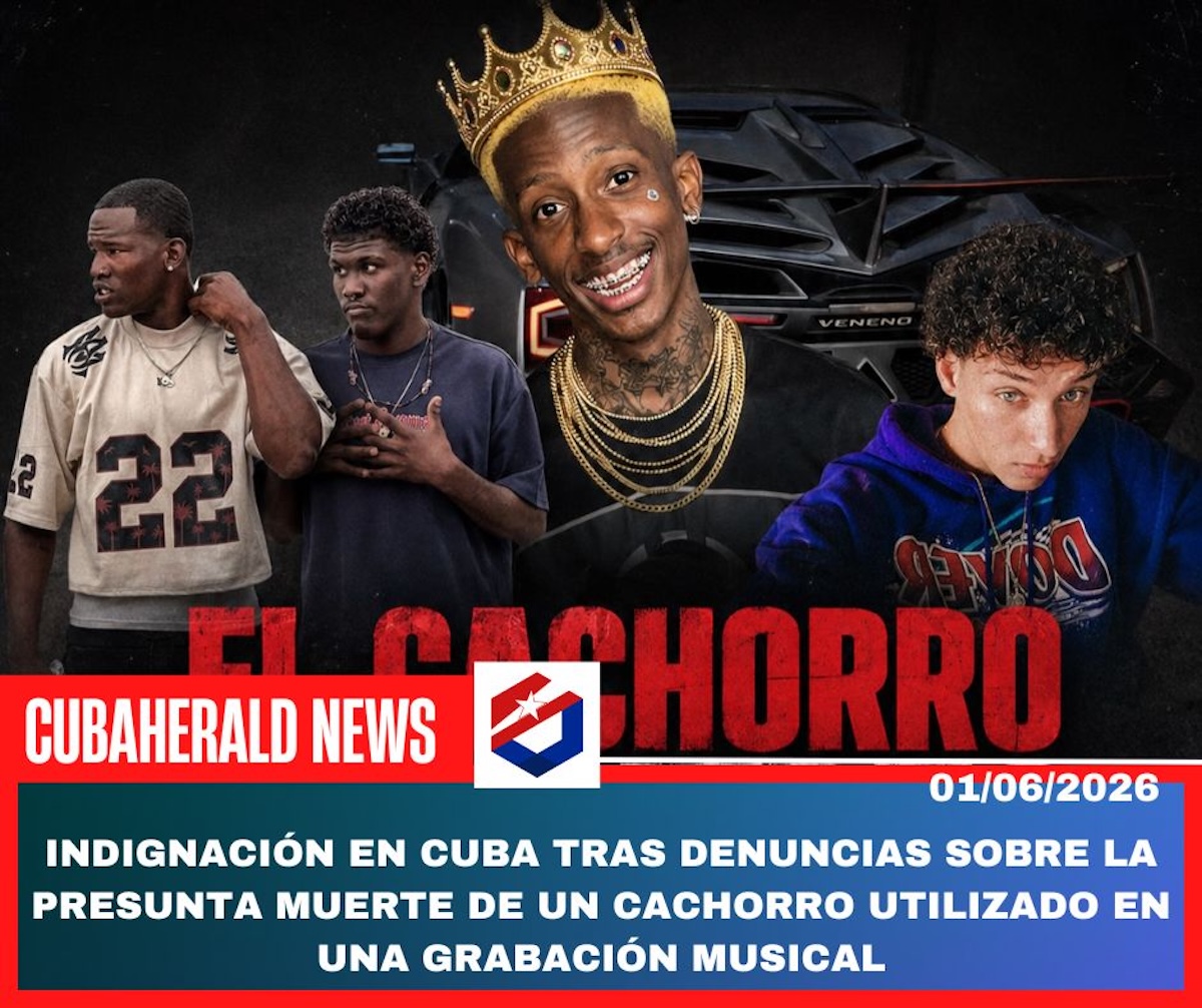 noticias,cuba,eeuu,españa,noticias de cuba hoy,noticias de cuba en miami hoy,noticias de cuba hoy actualizadas,noticias de estados unidos,noticias de estados unidos hoy,noticias de estados unidos sobre venezuela,noticias de estados unidos en vivo,noticias de mundo,ultima hora,periodico cubano noticias de cuba,noticias de cuba,noticias de cuba hoy prensa independiente,noticias de cuba hoy actualizadas,noticias de cuba en miami,noticias de cuba y mexico,noticias de cuba de ultima hora,cubanos por el mundo,cubanos por el mundo últimas noticias,cubanos por el mundo otaola,cubanos por el mundo - live,cubanos por el mundo instagram,cubanos por el mundo facebook,cubanos por el mundo - youtube