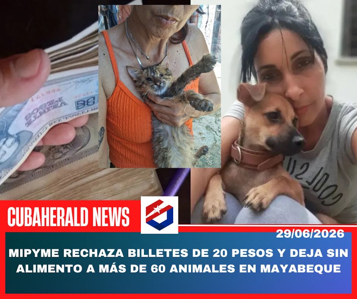 noticias,cuba,eeuu,españa,noticias de cuba hoy,noticias de cuba en miami hoy,noticias de cuba hoy actualizadas,noticias de estados unidos,noticias de estados unidos hoy,noticias de estados unidos sobre venezuela,noticias de estados unidos en vivo,noticias de mundo,ultima hora,periodico cubano noticias de cuba,noticias de cuba,noticias de cuba hoy prensa independiente,noticias de cuba hoy actualizadas,noticias de cuba en miami,noticias de cuba y mexico,noticias de cuba de ultima hora,cubanos por el mundo,cubanos por el mundo últimas noticias,cubanos por el mundo otaola,cubanos por el mundo - live,cubanos por el mundo instagram,cubanos por el mundo facebook,cubanos por el mundo - youtube