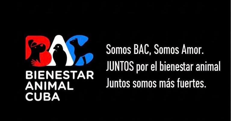noticias,cuba,eeuu,españa,noticias de cuba hoy,noticias de cuba en miami hoy,noticias de cuba hoy actualizadas,noticias de estados unidos,noticias de estados unidos hoy,noticias de estados unidos sobre venezuela,noticias de estados unidos en vivo,noticias de mundo,ultima hora,periodico cubano noticias de cuba,noticias de cuba,noticias de cuba hoy prensa independiente,noticias de cuba hoy actualizadas,noticias de cuba en miami,noticias de cuba y mexico,noticias de cuba de ultima hora,cubanos por el mundo,cubanos por el mundo últimas noticias,cubanos por el mundo otaola,cubanos por el mundo - live,cubanos por el mundo instagram,cubanos por el mundo facebook,cubanos por el mundo - youtube