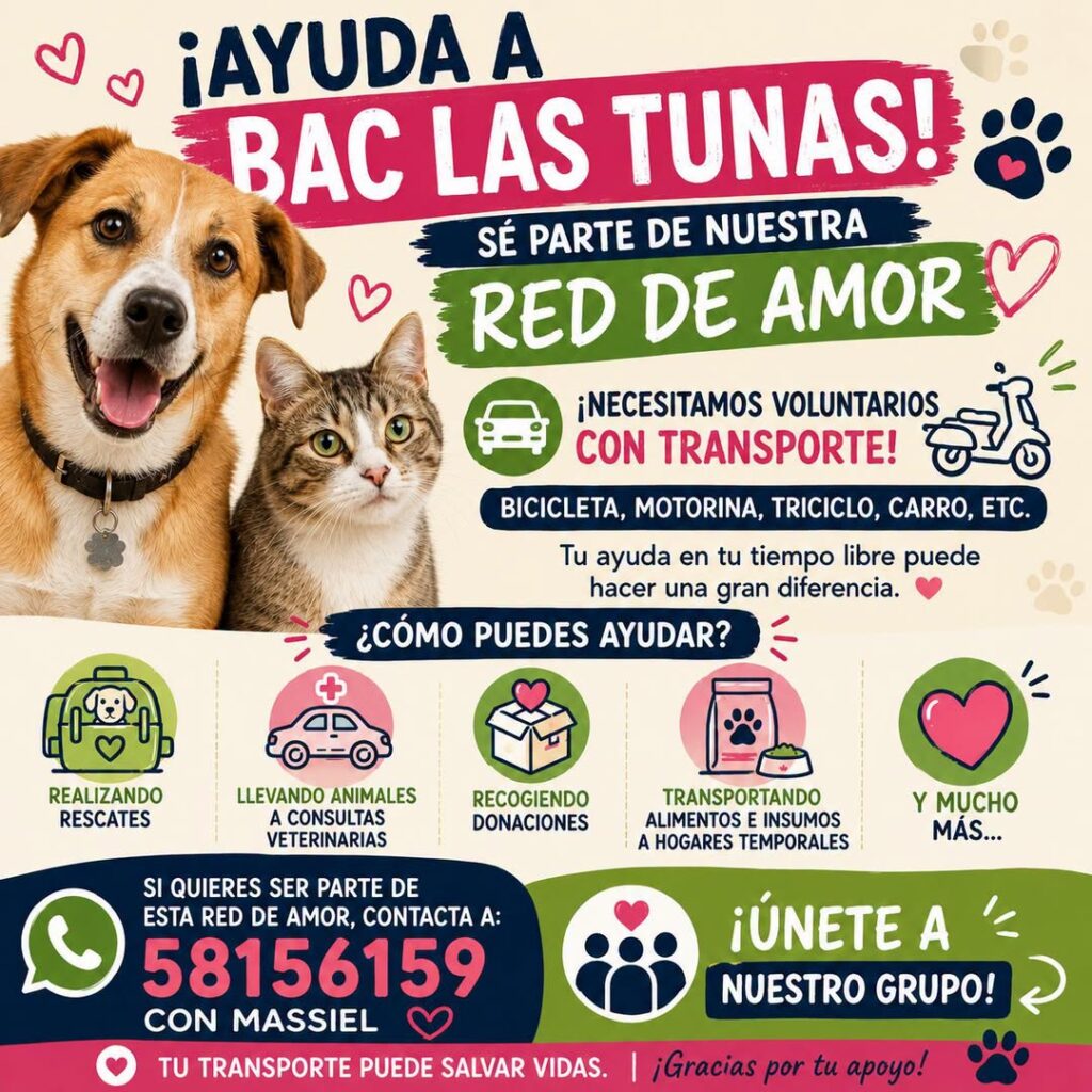 noticias,cuba,eeuu,españa,noticias de cuba hoy,noticias de cuba en miami hoy,noticias de cuba hoy actualizadas,noticias de estados unidos,noticias de estados unidos hoy,noticias de estados unidos sobre venezuela,noticias de estados unidos en vivo,noticias de mundo,ultima hora,periodico cubano noticias de cuba,noticias de cuba,noticias de cuba hoy prensa independiente,noticias de cuba hoy actualizadas,noticias de cuba en miami,noticias de cuba y mexico,noticias de cuba de ultima hora,cubanos por el mundo,cubanos por el mundo últimas noticias,cubanos por el mundo otaola,cubanos por el mundo - live,cubanos por el mundo instagram,cubanos por el mundo facebook,cubanos por el mundo - youtube