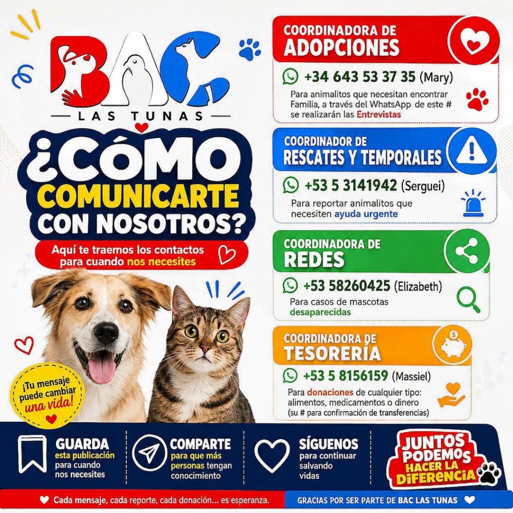 noticias,cuba,eeuu,españa,noticias de cuba hoy,noticias de cuba en miami hoy,noticias de cuba hoy actualizadas,noticias de estados unidos,noticias de estados unidos hoy,noticias de estados unidos sobre venezuela,noticias de estados unidos en vivo,noticias de mundo,ultima hora,periodico cubano noticias de cuba,noticias de cuba,noticias de cuba hoy prensa independiente,noticias de cuba hoy actualizadas,noticias de cuba en miami,noticias de cuba y mexico,noticias de cuba de ultima hora,cubanos por el mundo,cubanos por el mundo últimas noticias,cubanos por el mundo otaola,cubanos por el mundo - live,cubanos por el mundo instagram,cubanos por el mundo facebook,cubanos por el mundo - youtube