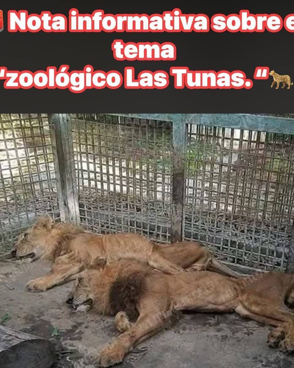 noticias,cuba,eeuu,españa,noticias de cuba hoy,noticias de cuba en miami hoy,noticias de cuba hoy actualizadas,noticias de estados unidos,noticias de estados unidos hoy,noticias de estados unidos sobre venezuela,noticias de estados unidos en vivo,noticias de mundo,ultima hora,periodico cubano noticias de cuba,noticias de cuba,noticias de cuba hoy prensa independiente,noticias de cuba hoy actualizadas,noticias de cuba en miami,noticias de cuba y mexico,noticias de cuba de ultima hora,cubanos por el mundo,cubanos por el mundo últimas noticias,cubanos por el mundo otaola,cubanos por el mundo - live,cubanos por el mundo instagram,cubanos por el mundo facebook,cubanos por el mundo - youtube