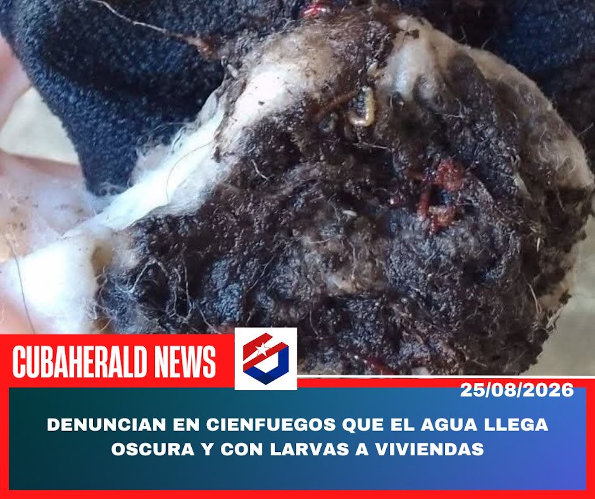 noticias,cuba,eeuu,españa,noticias de cuba hoy,noticias de cuba en miami hoy,noticias de cuba hoy actualizadas,noticias de estados unidos,noticias de estados unidos hoy,noticias de estados unidos sobre venezuela,noticias de estados unidos en vivo,noticias de mundo,ultima hora,periodico cubano noticias de cuba,noticias de cuba,noticias de cuba hoy prensa independiente,noticias de cuba hoy actualizadas,noticias de cuba en miami,noticias de cuba y mexico,noticias de cuba de ultima hora,cubanos por el mundo,cubanos por el mundo últimas noticias,cubanos por el mundo otaola,cubanos por el mundo - live,cubanos por el mundo instagram,cubanos por el mundo facebook,cubanos por el mundo - youtube