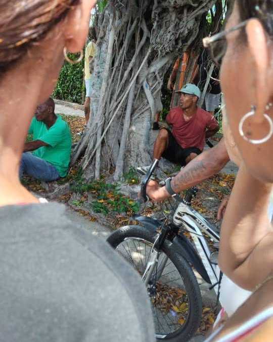 Personas reunidas bajo un gran árbol banyan con una bicicleta.