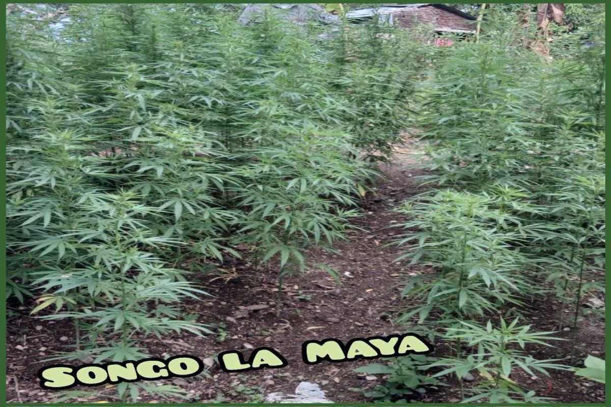 noticias,cuba,eeuu,españa,noticias de cuba hoy,noticias de cuba en miami hoy,noticias de cuba hoy actualizadas,noticias de estados unidos,noticias de estados unidos hoy,noticias de estados unidos sobre venezuela,noticias de estados unidos en vivo,noticias de mundo,ultima hora,periodico cubano noticias de cuba,noticias de cuba,noticias de cuba hoy prensa independiente,noticias de cuba hoy actualizadas,noticias de cuba en miami,noticias de cuba y mexico,noticias de cuba de ultima hora,cubanos por el mundo,cubanos por el mundo últimas noticias,cubanos por el mundo otaola,cubanos por el mundo - live,cubanos por el mundo instagram,cubanos por el mundo facebook,cubanos por el mundo - youtube