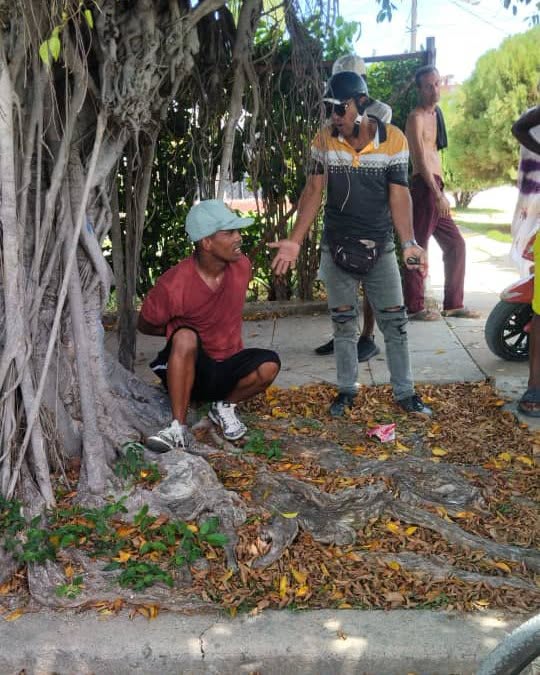 Dos hombres hablando bajo un gran árbol en la calle.