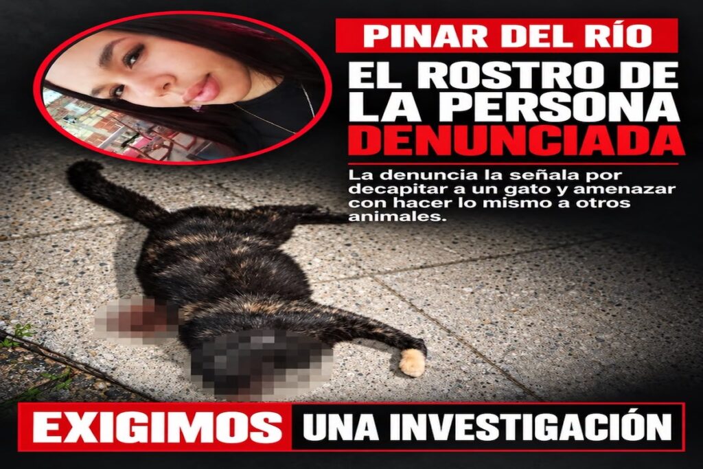 Cartel informativo denunciando maltrato animal en Pinar del Río.