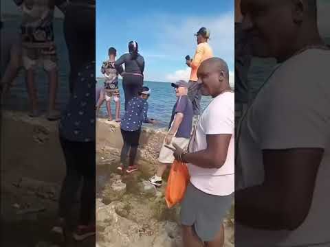 Personas reunidas junto al mar en un día soleado.