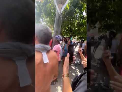 Multitud de personas reunidas en una calle soleada con árboles.
