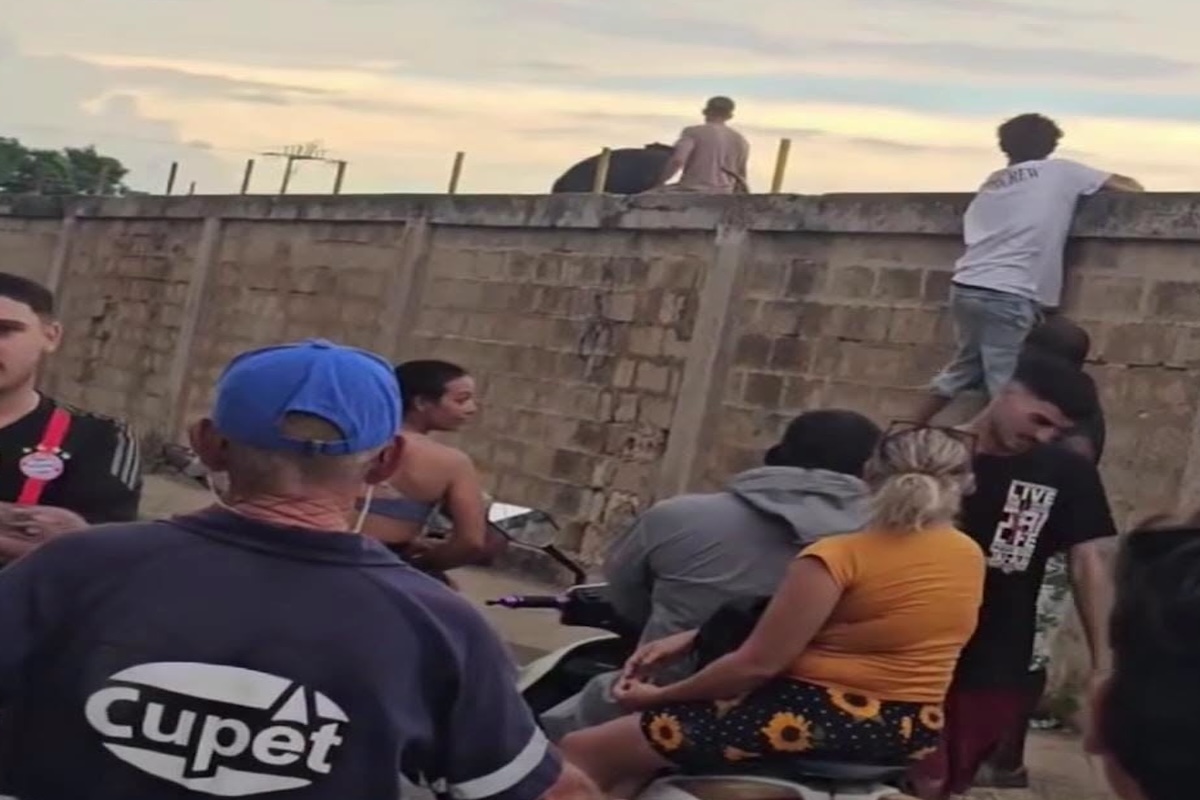 noticias,cuba,eeuu,españa,noticias de cuba hoy,noticias de cuba en miami hoy,noticias de cuba hoy actualizadas,noticias de estados unidos,noticias de estados unidos hoy,noticias de estados unidos sobre venezuela,noticias de estados unidos en vivo,noticias de mundo,ultima hora,periodico cubano noticias de cuba,noticias de cuba,noticias de cuba hoy prensa independiente,noticias de cuba hoy actualizadas,noticias de cuba en miami,noticias de cuba y mexico,noticias de cuba de ultima hora,cubanos por el mundo,cubanos por el mundo últimas noticias,cubanos por el mundo otaola,cubanos por el mundo - live,cubanos por el mundo instagram,cubanos por el mundo facebook,cubanos por el mundo - youtube