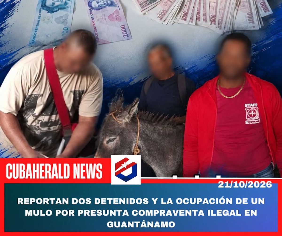 noticias,cuba,eeuu,españa,noticias de cuba hoy,noticias de cuba en miami hoy,noticias de cuba hoy actualizadas,noticias de estados unidos,noticias de estados unidos hoy,noticias de estados unidos sobre venezuela,noticias de estados unidos en vivo,noticias de mundo,ultima hora,periodico cubano noticias de cuba,noticias de cuba,noticias de cuba hoy prensa independiente,noticias de cuba hoy actualizadas,noticias de cuba en miami,noticias de cuba y mexico,noticias de cuba de ultima hora,cubanos por el mundo,cubanos por el mundo últimas noticias,cubanos por el mundo otaola,cubanos por el mundo - live,cubanos por el mundo instagram,cubanos por el mundo facebook,cubanos por el mundo - youtube