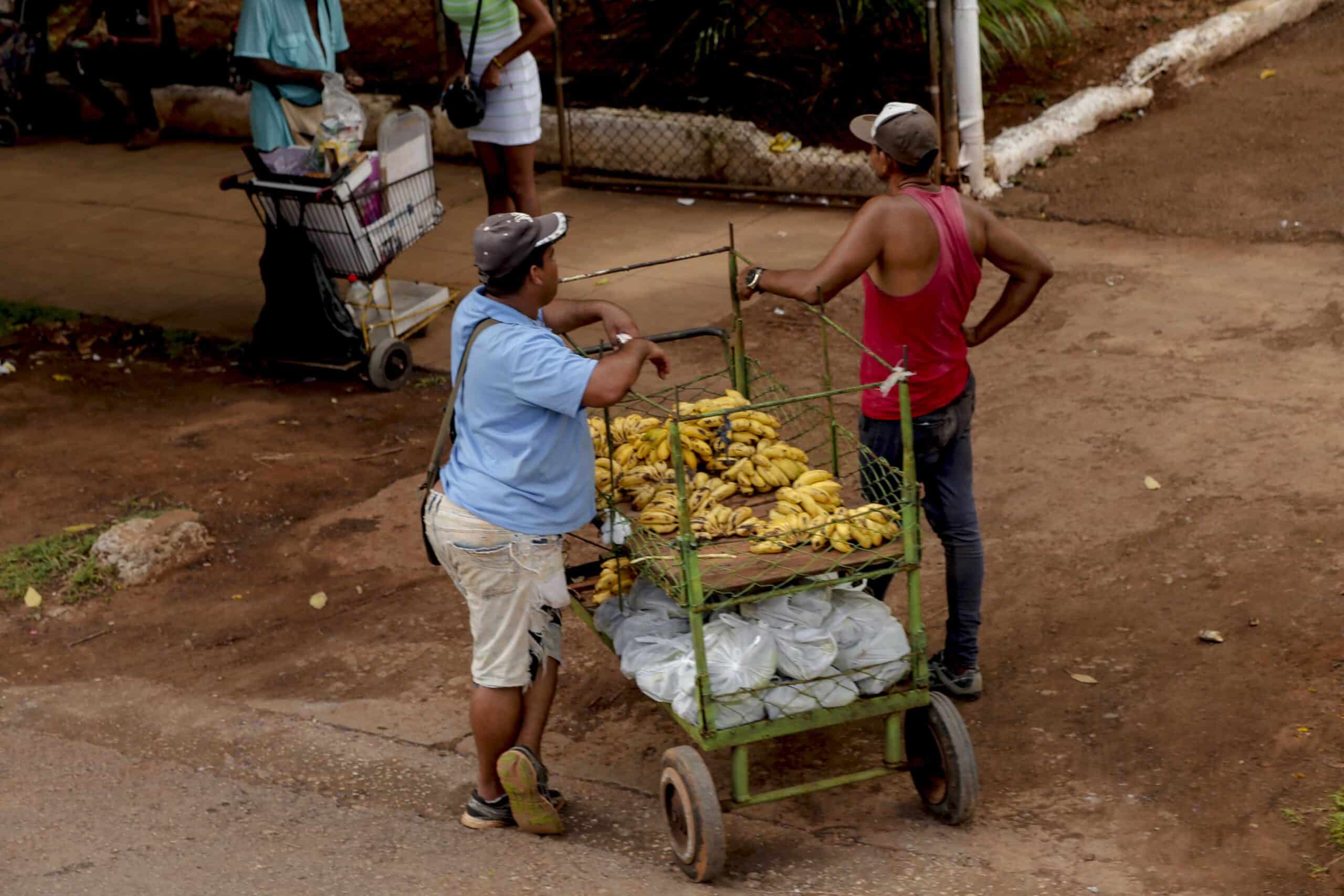 noticias,cuba,eeuu,españa,noticias de cuba hoy,noticias de cuba en miami hoy,noticias de cuba hoy actualizadas,noticias de estados unidos,noticias de estados unidos hoy,noticias de estados unidos sobre venezuela,noticias de estados unidos en vivo,noticias de mundo,ultima hora,periodico cubano noticias de cuba,noticias de cuba,noticias de cuba hoy prensa independiente,noticias de cuba hoy actualizadas,noticias de cuba en miami,noticias de cuba y mexico,noticias de cuba de ultima hora,cubanos por el mundo,cubanos por el mundo últimas noticias,cubanos por el mundo otaola,cubanos por el mundo - live,cubanos por el mundo instagram,cubanos por el mundo facebook,cubanos por el mundo - youtube